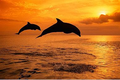 野村哲也谈《王国之心4》 将继续会有迪士尼世界