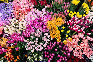 系列新作《铲子骑士：挖掘》确定9月23日正式发售